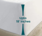 Waterproof Mattress Protector Stretchable Fitted Quilted Mattress Cover Deep Pocket up to 16in Durable Fitted Bed Cover Size Mattress Pad Covers soft and fluffy